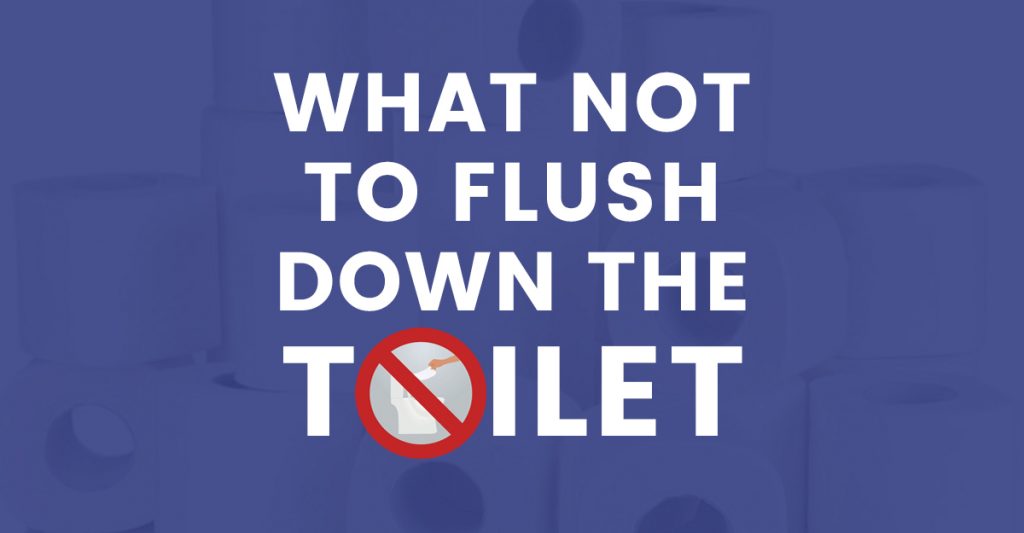 power plumbing - What not to flush down the toilet blog header reduced